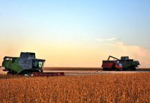 Губернатор Павел Малков: Наши аграрии собрали более трёх миллионов тонн зерна и близки к повторению рекорда 2022 года