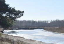 10 марта в Рязанском области потеплеет до +6°С