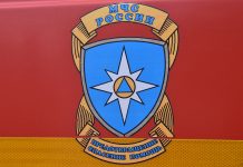 На пожаре в Михайловском округе пострадал человек