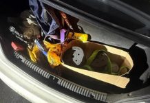 В Михайлове полицейские задержали наркокурьеров из Ростовской области