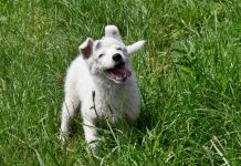 Тепло и сухо будет в Рязанской области в понедельник